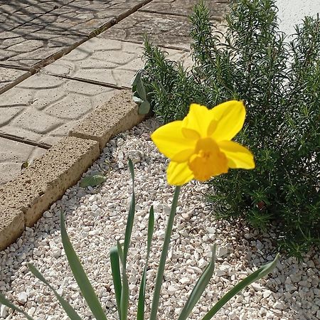B&B Villa Alma San Costanzo Dış mekan fotoğraf