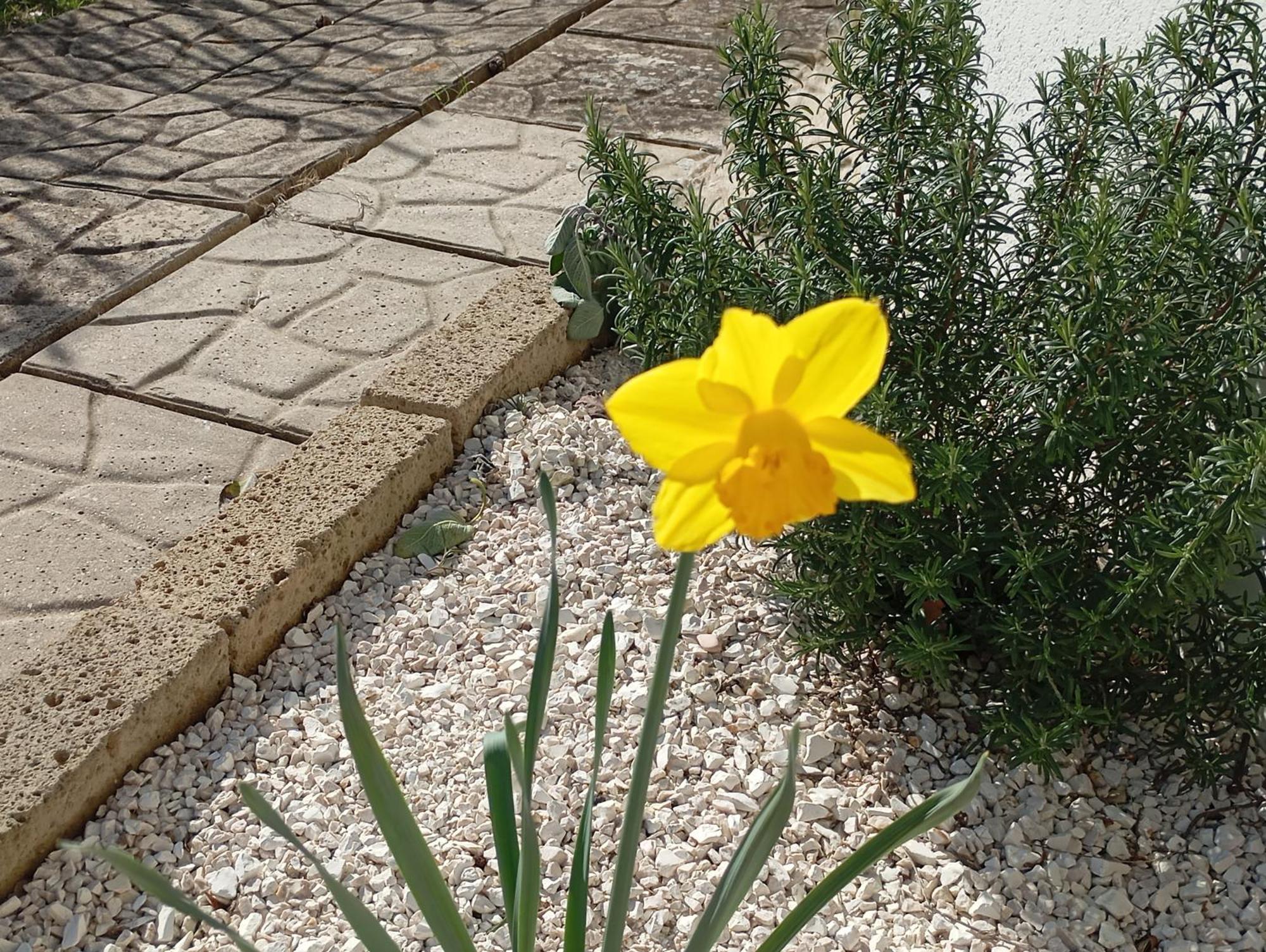 B&B Villa Alma San Costanzo Dış mekan fotoğraf